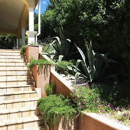 Apartman Novi *